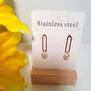 Stainless steel earrings